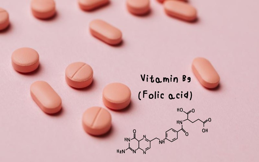엽산 효능